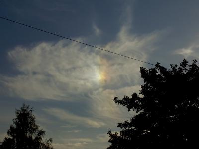 Sundog