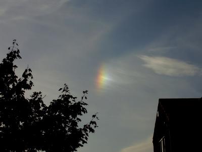 Sundog