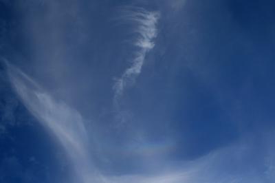 Circumzenithal Arc