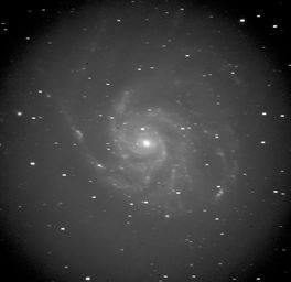 M101